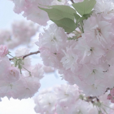 Furry兽圈美学分享兽圈社群